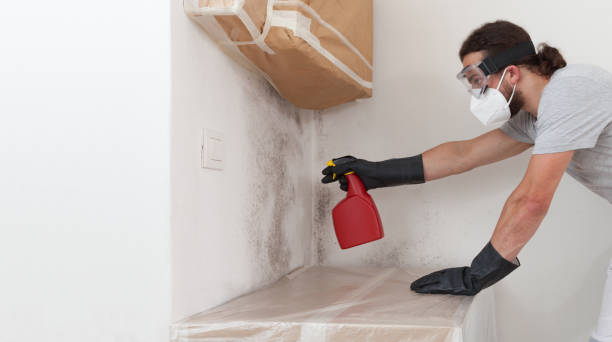 Professional Mold Testing technician working in Roanoke, IL