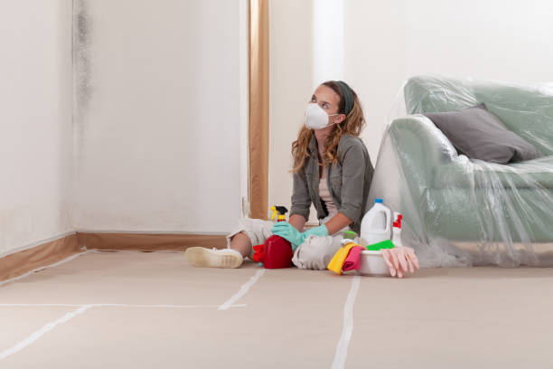 Reliable Mold Testing contractor in Roanoke, IL by WQB Mold Removal
